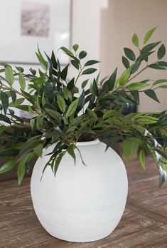 a plant in a white vase on a wooden table