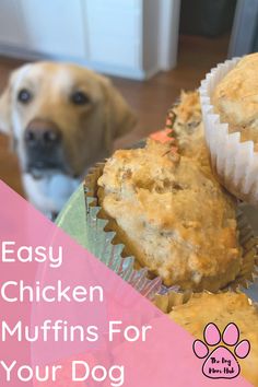 a dog is looking at some muffins in the foreground and on the background