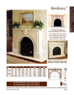 the fireplace is shown in this brochure, and it has an ornate design