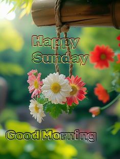 the words happy sunday are hanging from a rope with daisies and flowers on it