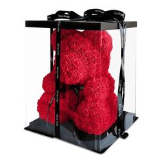 a red teddy bear in a clear box with black ribbon around it's neck