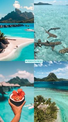 the four images show different types of blue water and white sand, with mountains in the background