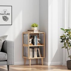 a living room with a gray couch and book shelf next to a plant in the corner