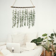 a living room with a couch, laptop and potted plants on the wall next to it