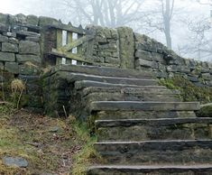 an old stone wall with steps leading up to it in the foggy forest stock photo