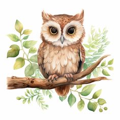 an owl sitting on top of a tree branch with leaves and branches around its neck