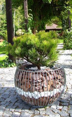 a potted plant with rocks in it sitting on a stone walkway surrounded by trees