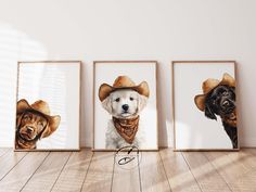 three framed pictures of dogs wearing cowboy hats