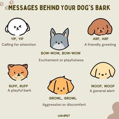 an info sheet with different types of dogs and their names on it, including the words'messages behind your dog's bark