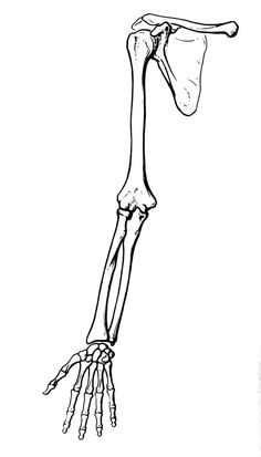 the skeleton is shown in black and white, with one hand on it's hip