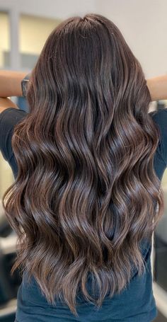 Dark Brown Hair With Light Brown High, Demintional Brown Hair, Light Chocolate Brown Balayage, Teddy Bear Highlights On Dark Brown Hair, Winter Hair Ideas For Brunettes, Brunette Ashy Balayage Hair, Late Brunette Hair, Teddy Brunette Hair