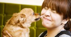 How much truth is there to the adage that a dog's mouth is actually cleaner than a human's?