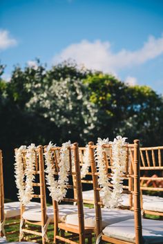 the chairs are lined up with white flowers