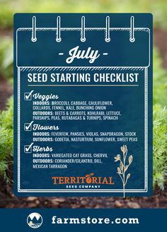 a seed starting checklist for july