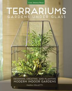 Dive into the ultimate handcrafted, fun way to bring the natural world indoors! Terrariums are back and better than ever! If you haven't seen this virtually foolproof and no-fuss way to bring nature indoors in the last forty years, you are in for a treat. Whether you live in an apartment, are chained to an office desk, or just want to be surrounded by green, living things, creating terrariums is a delightful way to combine the worlds of home decor and gardening. Terrarium expert and teacher Mari Plant In Glass, Moss Terrarium, Mini Greenhouse, Indoor Gardens, Miniature Plants, Garden Terrarium, Terraria, Terrarium Plants, Succulent Terrarium