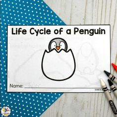 the life cycle of a penguin is shown with crayons and markers on it