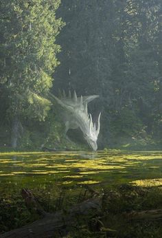 a large white dragon in the middle of a swampy area with trees around it