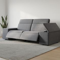 a grey couch sitting on top of a wooden floor next to a potted plant