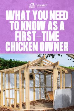 Must-Haves for First-Time Chicken Owners | The Happy Chicken Coop Chicken Saddle, Diatomaceous Earth Food Grade, Best Pumpkin Patches, Oregano Essential Oil, Chicken Owner, Chicken Keeping, Chicken Eating