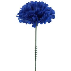 a single blue flower on a white background