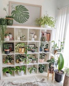 a room filled with lots of potted plants on top of white bookshelves