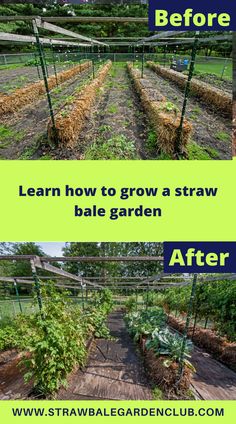 Garden Growth, Gardening,  SBG method, Straw Bale Garden, Bigger Plants, Better Yields- Straw Bale Gardening Method, Straw Bale Gardening, , Fruits Plants, Homegrown Food, Grow Food