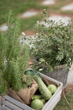 two baskets filled with green vegetables sitting on top of a grass covered field next to trees