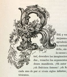 an old book with the letter e written in latin and floral designs on it's pages