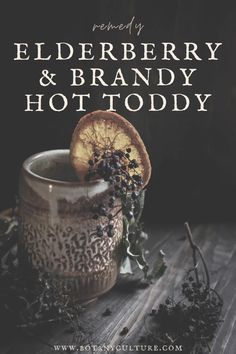 elderberry and brandy hot toddy recipe