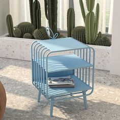 a blue shelf with books on it in front of some cacti