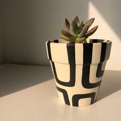 a black and white potted plant sitting on top of a table next to a wall