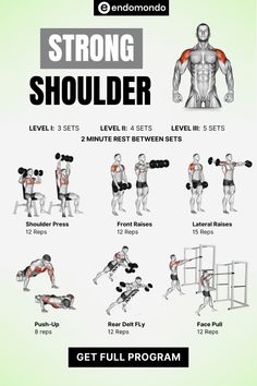 Elevate your upper body strength with this strong shoulder workout. Improve posture and sculpt defined delts! Delt Exercises, Bigger Shoulders, Shoulder Routine, Best Shoulder Workout, Shoulder Training, Personal Training Business, Cable Workout, Face Pulls