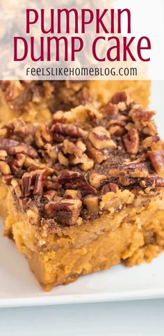 pumpkin dump cake with pecans on top and text overlay that reads, pumpkin dump cake