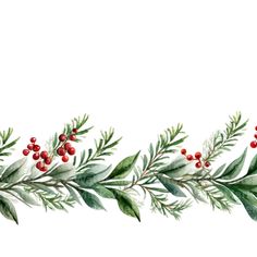 a watercolor painting of holly branches and berries