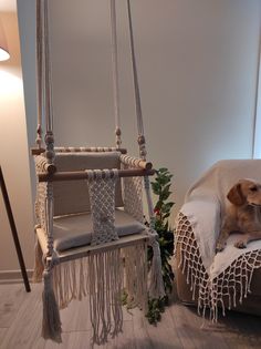 a dog laying in a hammock chair next to a bed with a blanket on it