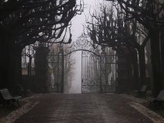 an open gate with benches in front of it on a foggy, gloomy day