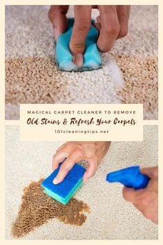 a person cleaning carpet with a blue sponge