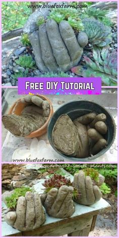 some rocks and plants that are sitting on top of a wooden table with the words free di