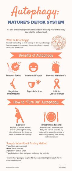 You've tried juice cleanses, but have you tried autophagy? It's one of the most powerful methods of detoxing your entire body down to the cellular level. What Is Autophagy, Detox Your Liver, Detox Diet Plan, Detox Plan, Detox Program, Liver Detox, Healthy Liver, Natural Detox, Natural Therapy