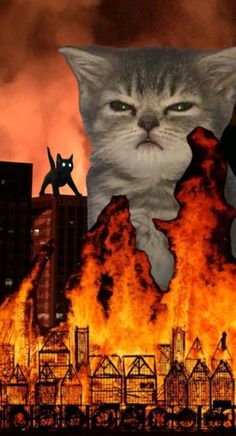 a cat sitting on top of a fire in the middle of a city