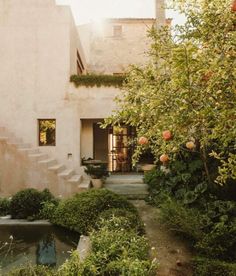 the house is surrounded by greenery and trees