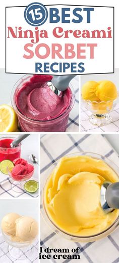 the best ninja creami sorbet recipes