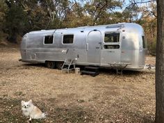 a dog sitting in front of an airstream