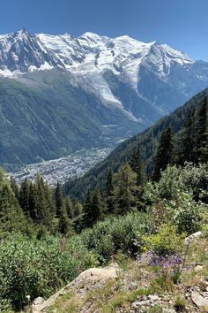 Mont Blanc view from Chamonix, France Mont Blanc Mountain, Family Hiking, Tourist Office, Travel Around Europe, French Alps, Local Guide, Round Trip, Mountain Range, Summer Top