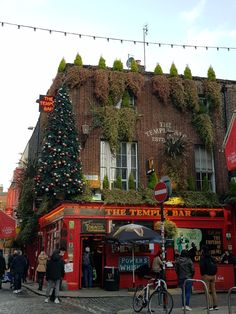 people are standing in front of a building with a christmas tree on it