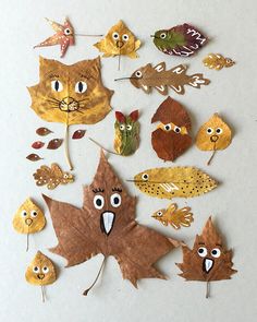 a group of leaves with faces drawn on them in the shape of cats and dogs