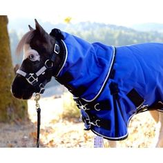 a brown horse wearing a blue jacket next to a tree with leaves on the ground