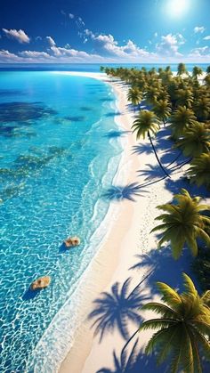 the beach is surrounded by palm trees and clear water