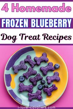 four homemade frozen blueberry dog treats on a plate with the title, 4 homemade frozen blueberry dog treat recipes