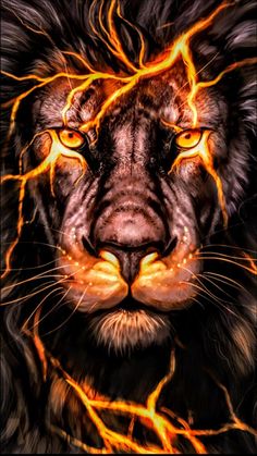 a close up of a lion's face with flames coming out of its eyes